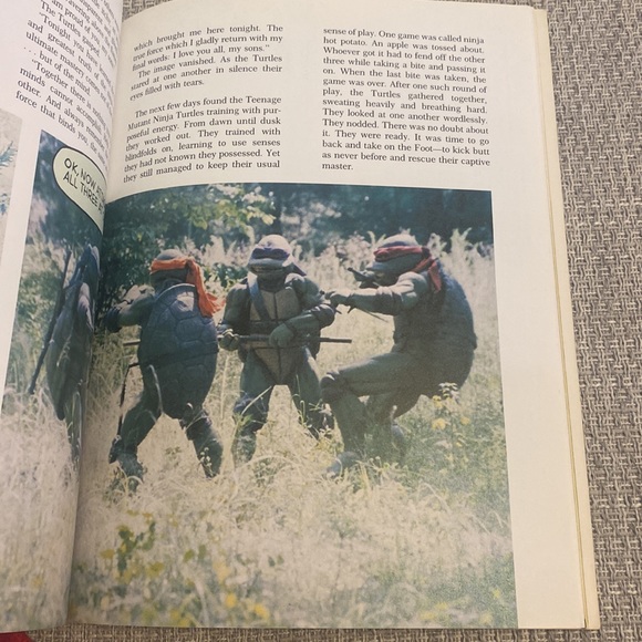 Teenage Mutant Ninja Turtles The Storybook based on the Movie 1990 Random House - Picture 5 of 6